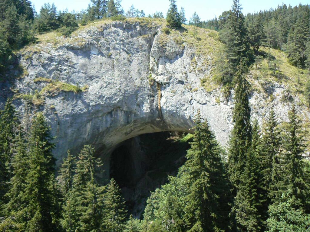 The Wonderful Bridges