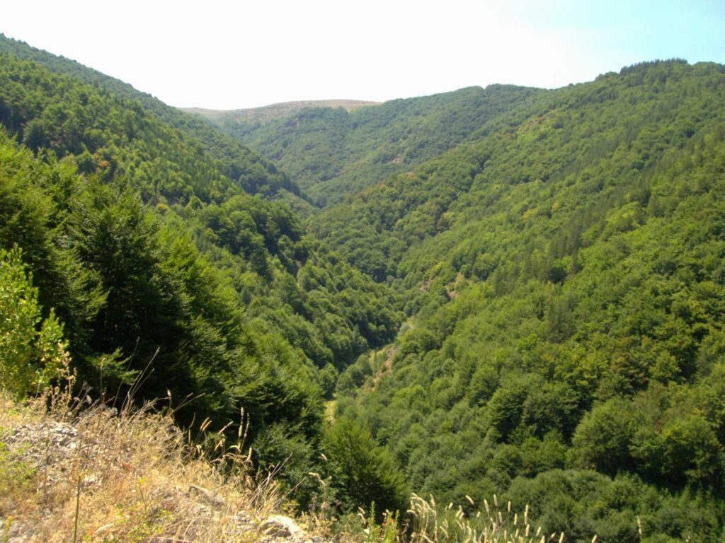 Best Mountains in Bulgaria You Must Visit 9 Osogovo Mountains bulgaria