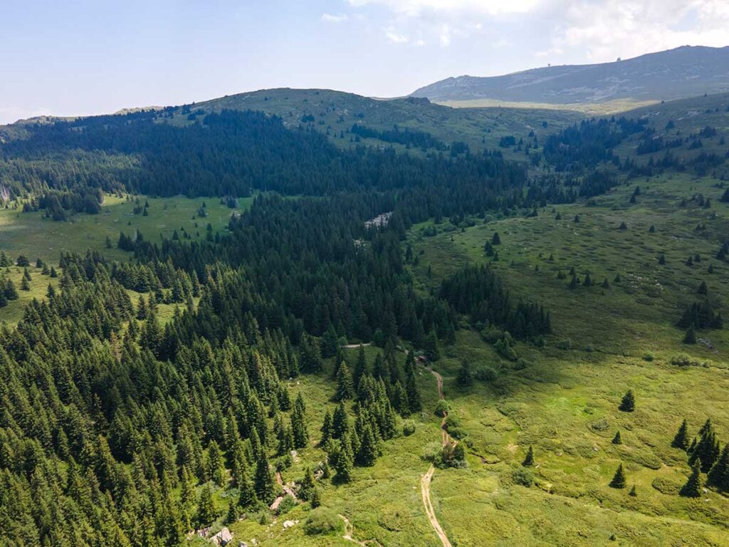 The Top 10 Spots for Hiking in Bulgaria 4 Bulgaria mountains Vitosha